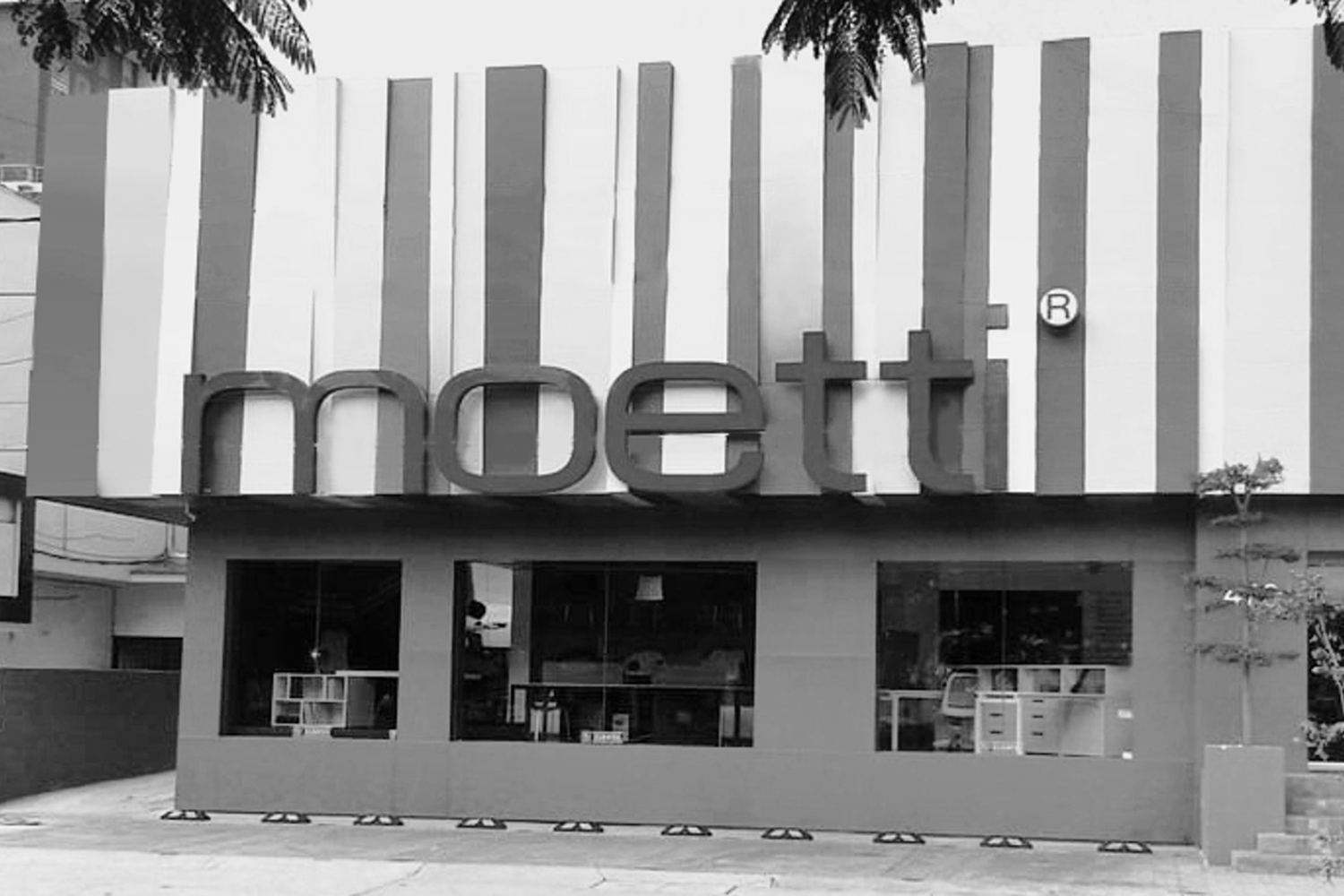 Apertura del Showroom Chapultepec. Línea del tiempo y trayectoria Moetti.